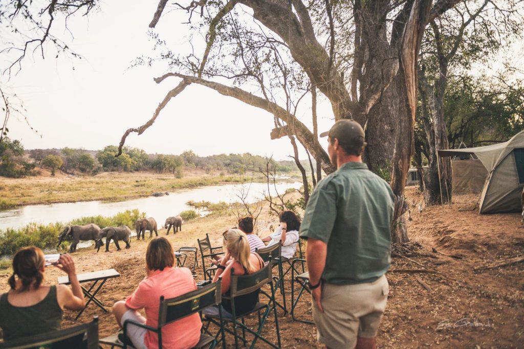 Safari guests sat on deck chairs watching 4 elephants walking along a river bank