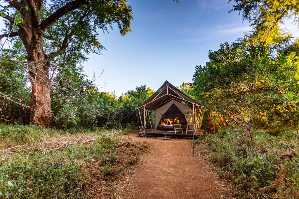 Open safari tent pitched in the middle of dry grass land and trees.