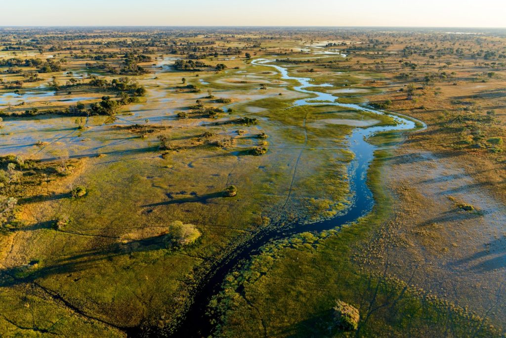 River winding through the Okavango Delta
