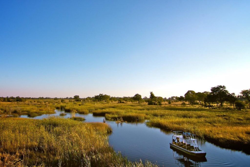Boat trip in the Delta