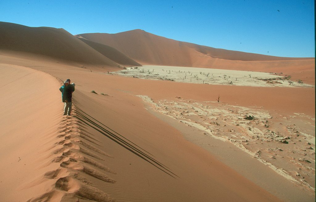 Sand Dunes in Namibia