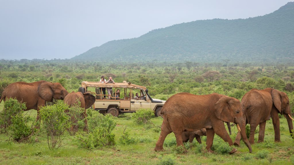 Safari in Samburu