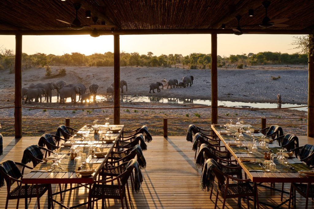 Views of elephant from Savute Safari Lodge