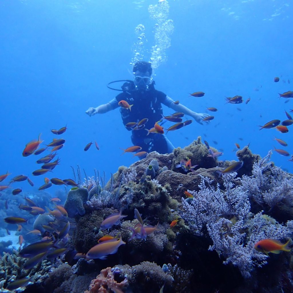 someone scuba diving at Pemba Island on a safari and beach holiday