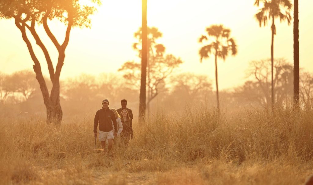 Guests walking in Ruaha National Park as the sunsets