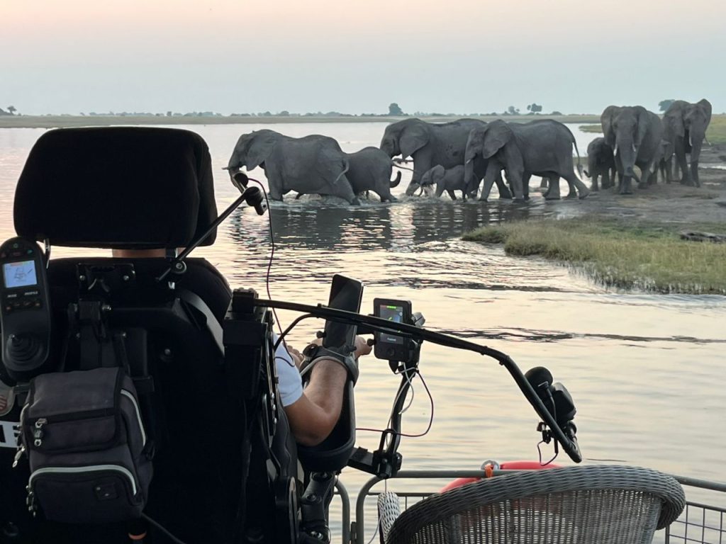 wheelchair user looks at elephant from a boat on the Chobe River