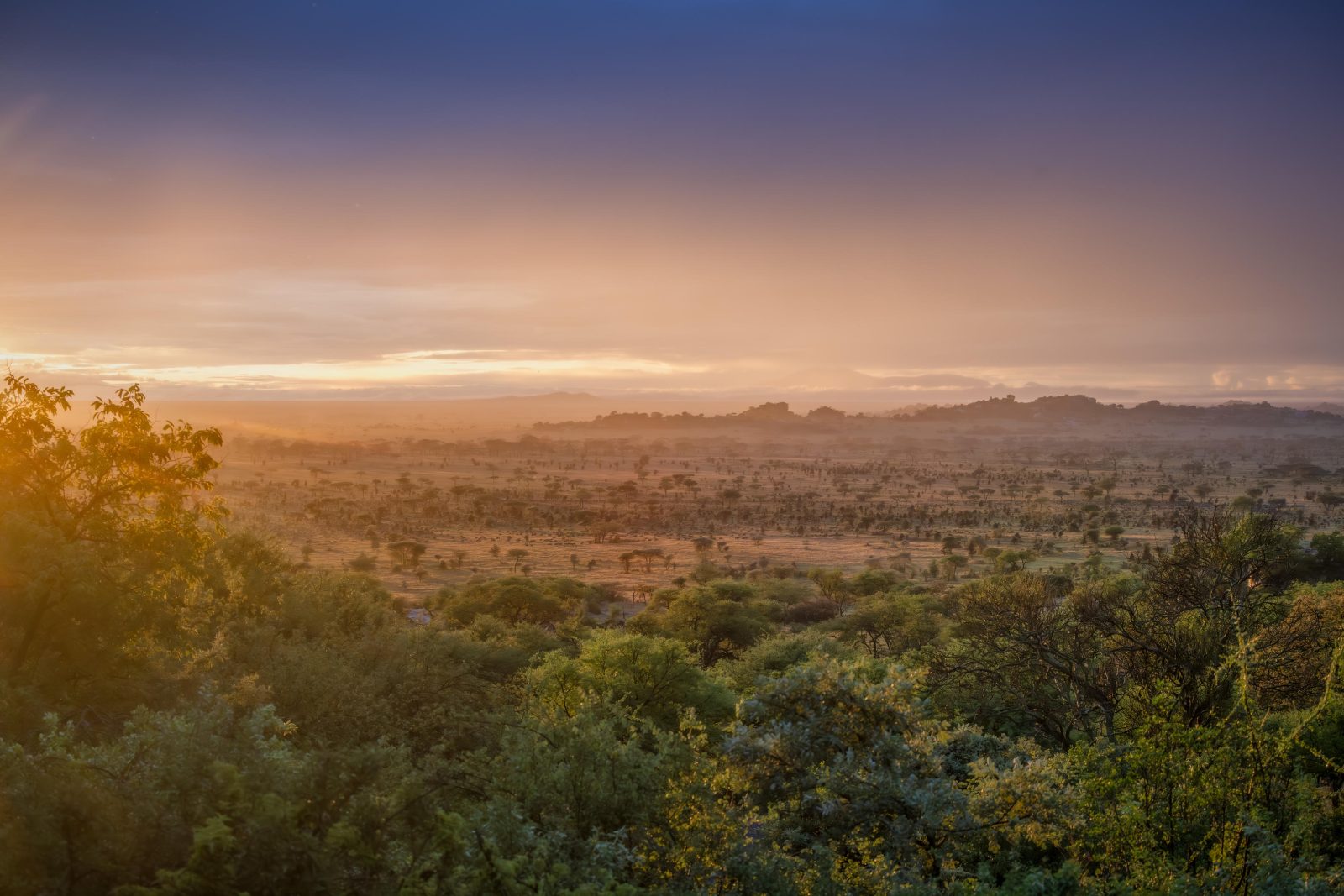 Sunrise over the Serengeti