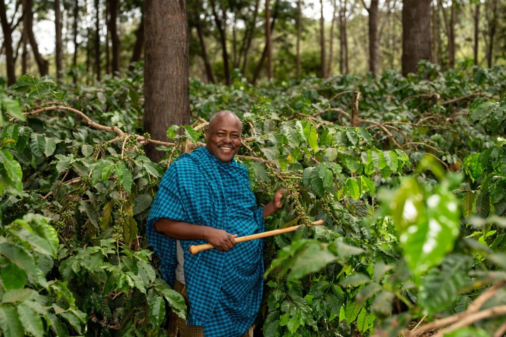 Coffee farm tour in Tanzania with a local farmer
