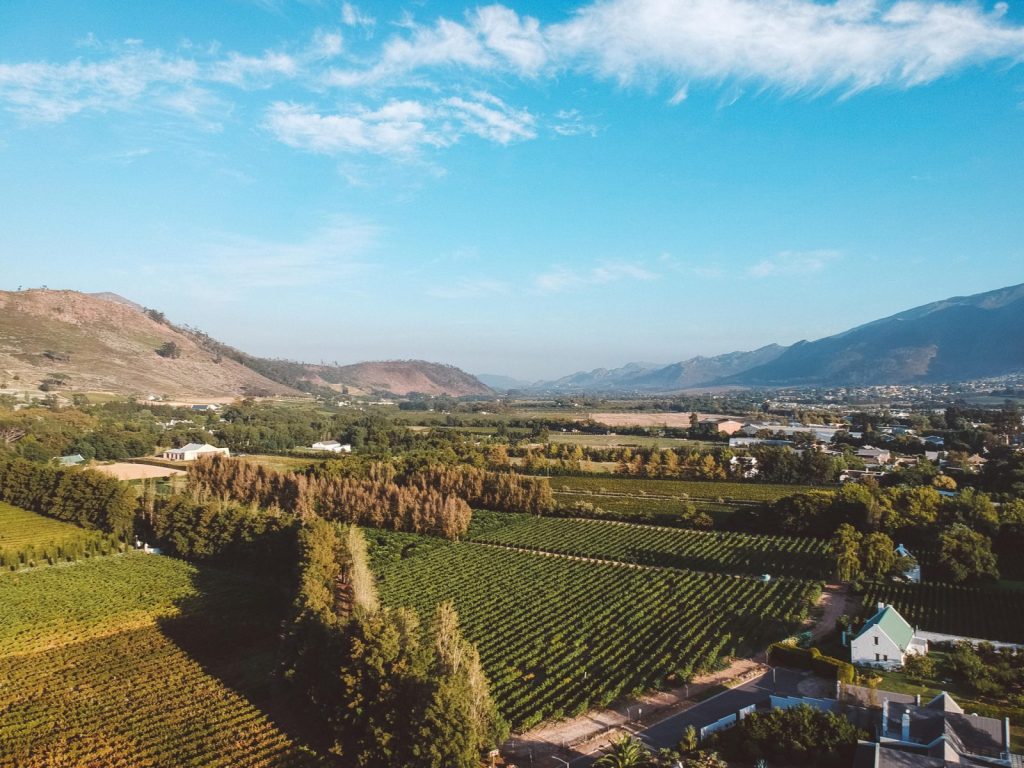 Picture of the Cape winelands